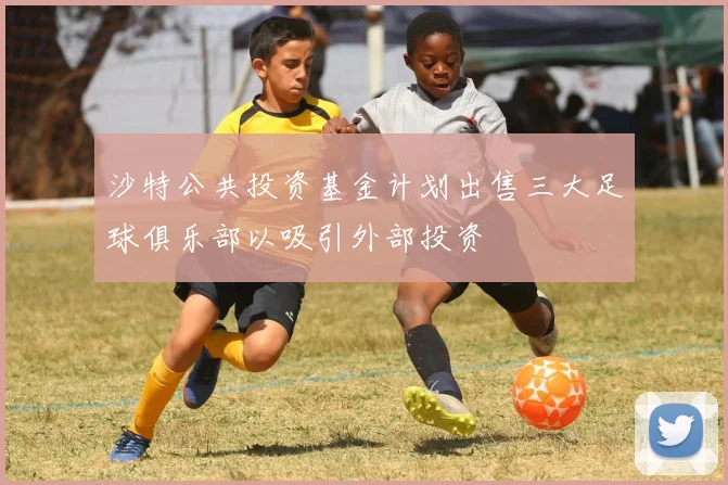 沙特公共投资基金计划出售三大足球俱乐部以吸引外部投资