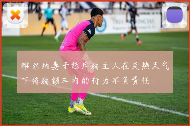维尔纳妻子怒斥狗主人在炎热天气下将狗锁车内的行为不负责任